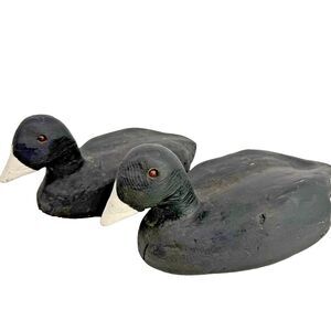 Herters Pair of Vintage Coot Waterfowl Hunting Duck Decoys 12" Balsa Wood No. 58